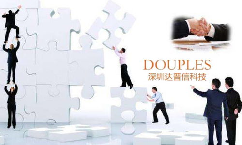 深圳達(dá)普信 探究其在網(wǎng)絡(luò)技術(shù)服務(wù)領(lǐng)域的實力與定位